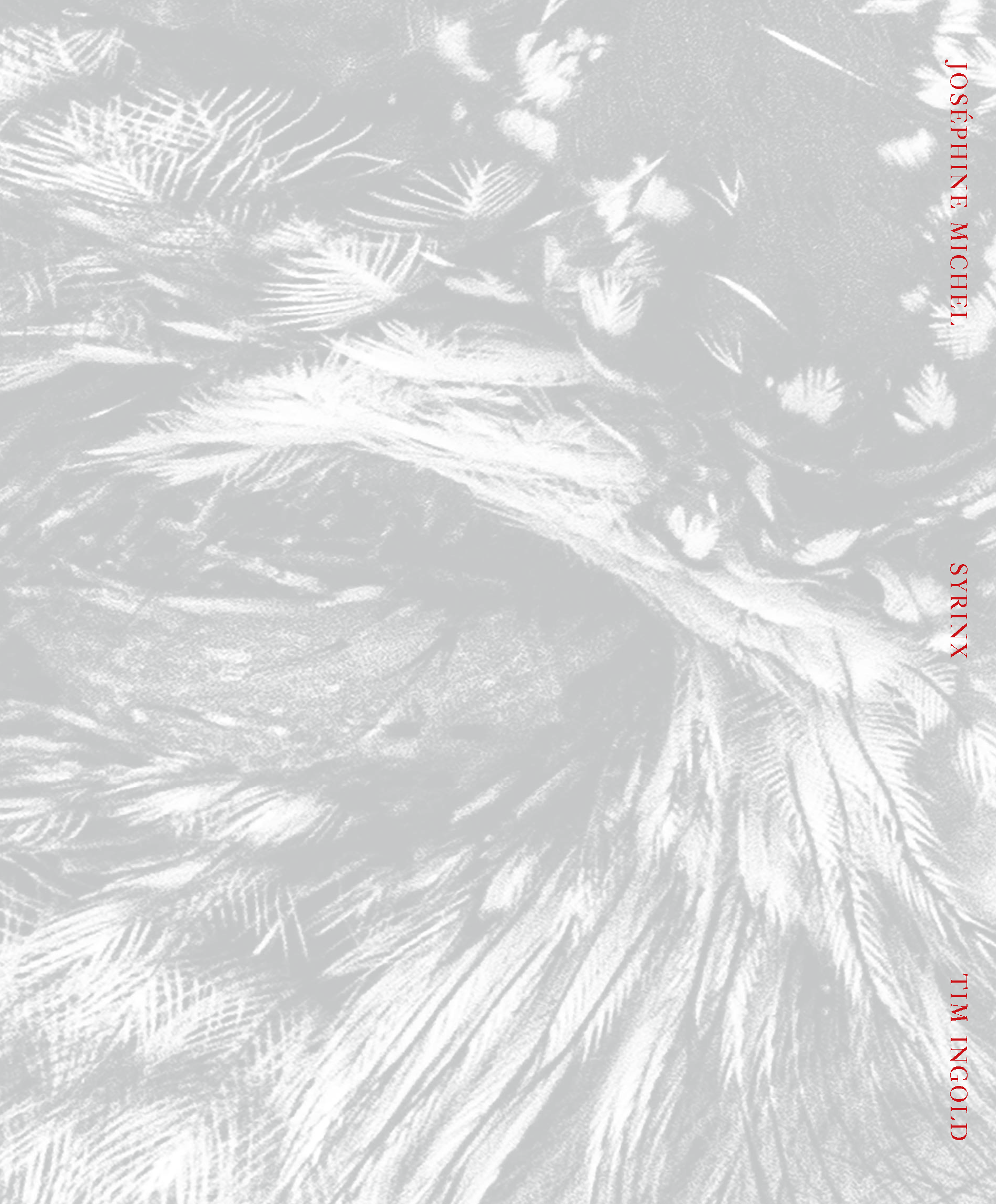 Joséphine Michel - Syrinx