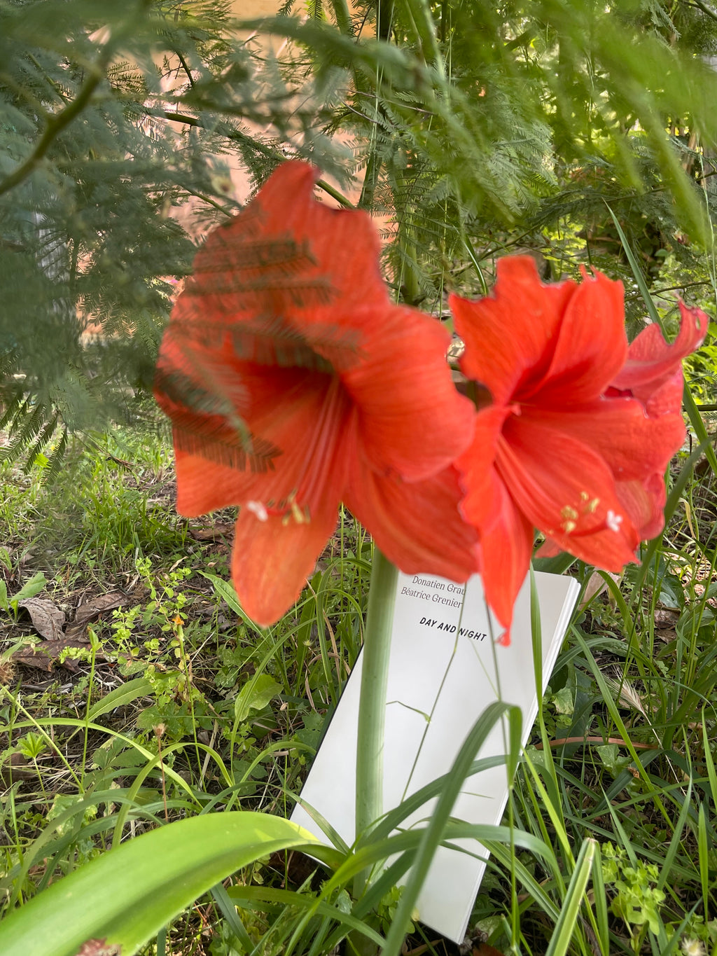 Donatien Grau & Béatrice Grenier - Day and night