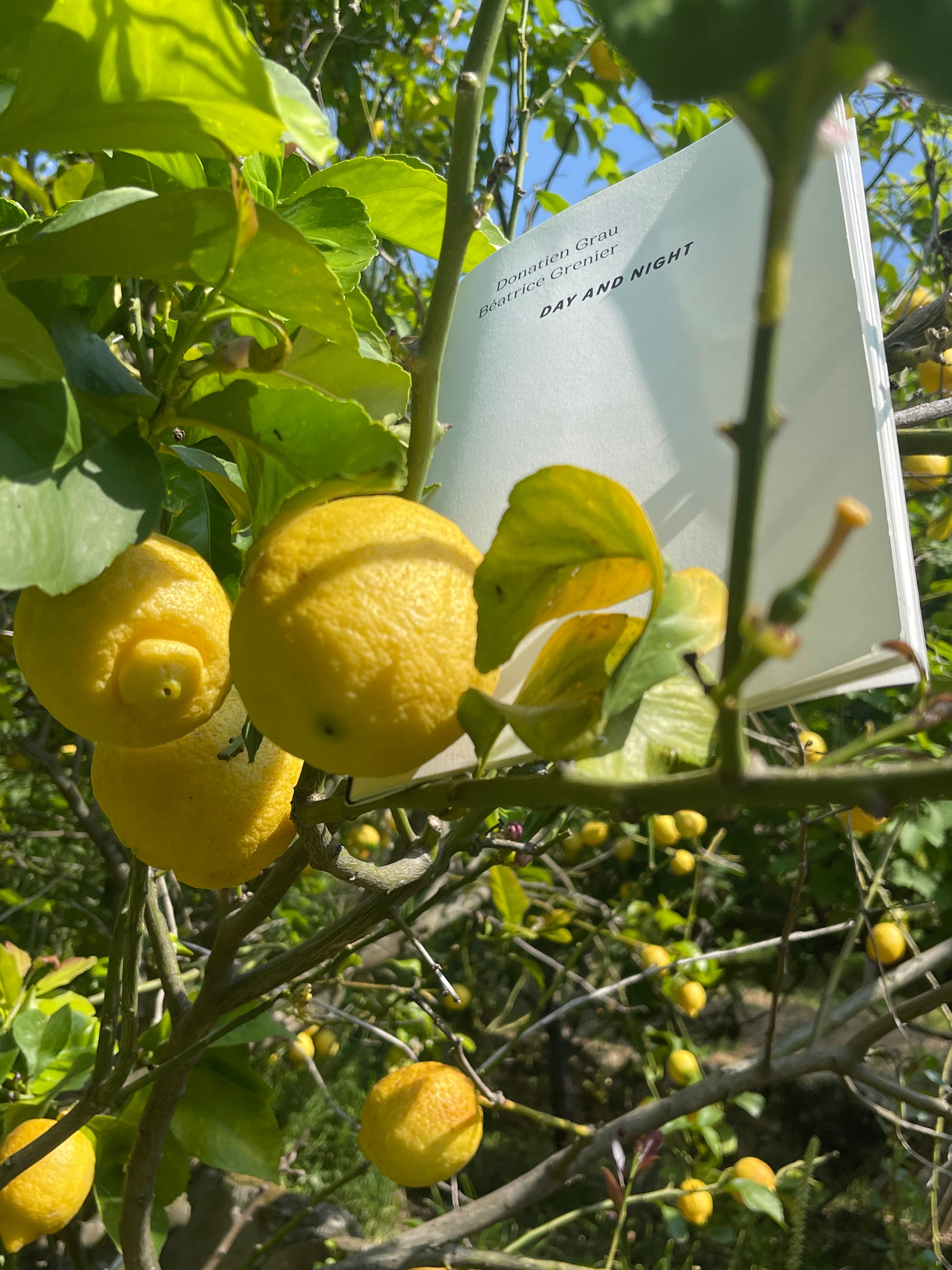 Donatien Grau & Béatrice Grenier - Day and night