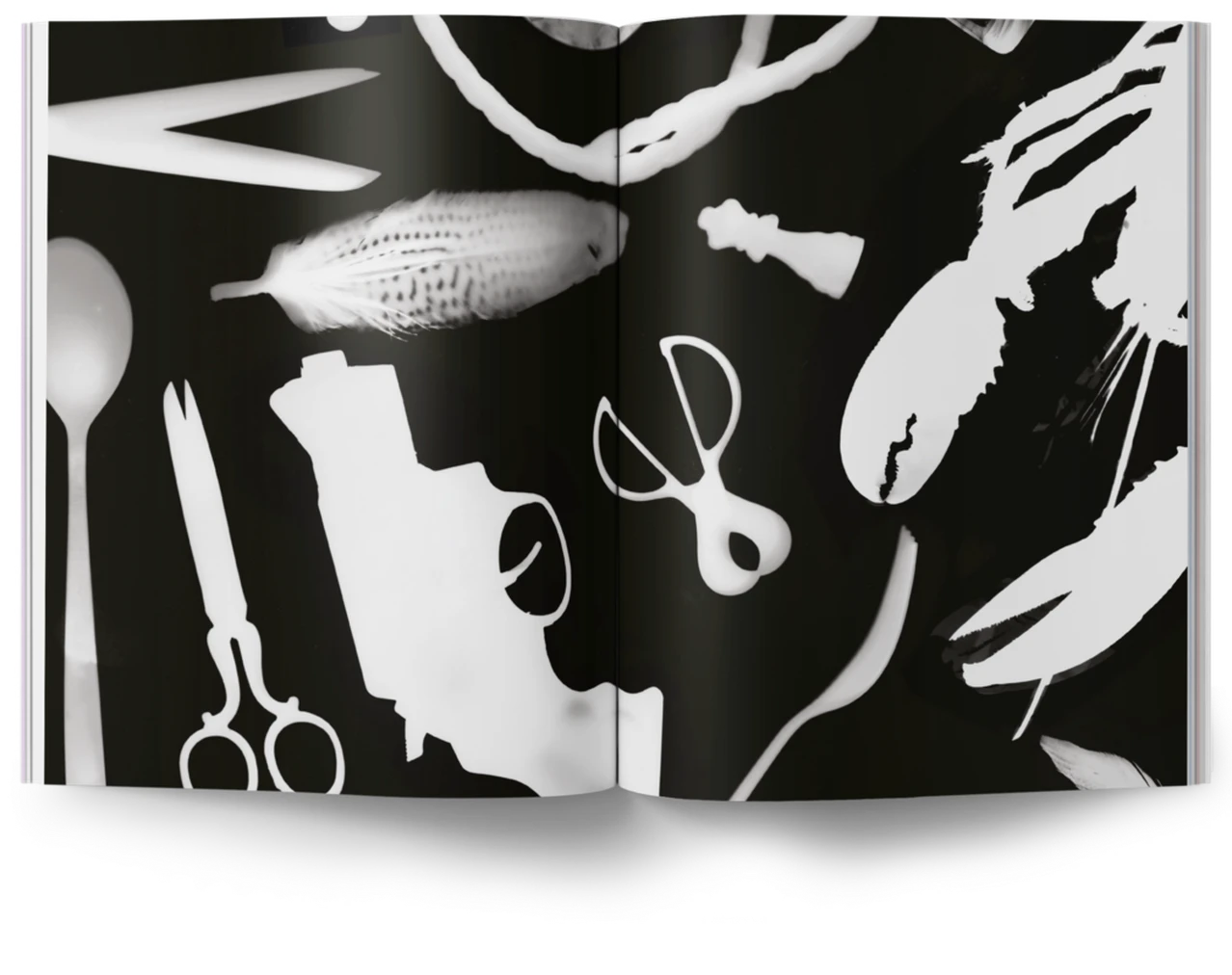 MUBI NOTEBOOK - Issue 8