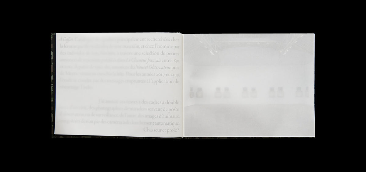 Sophie Calle - À l'affût