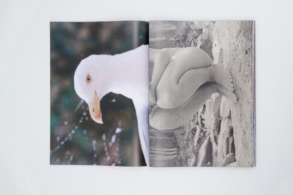 David Luraschi - The O File