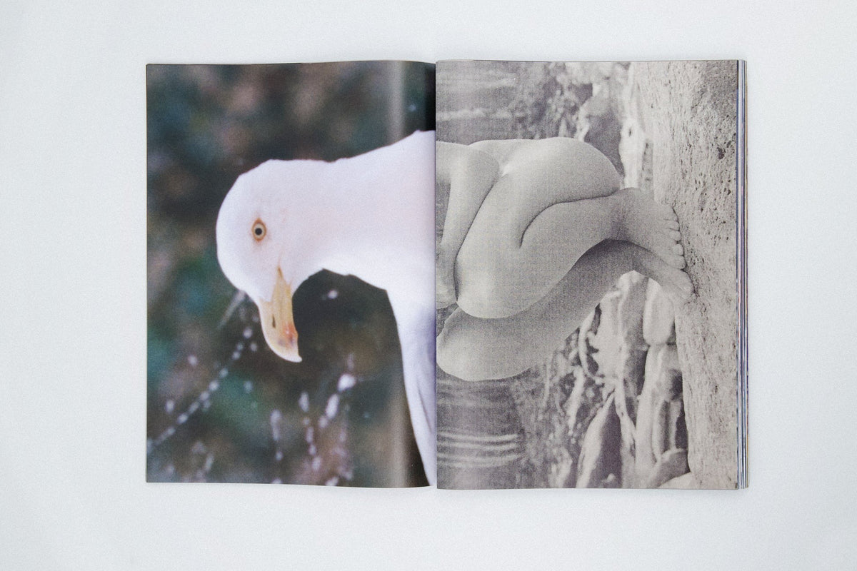 David Luraschi - The O File