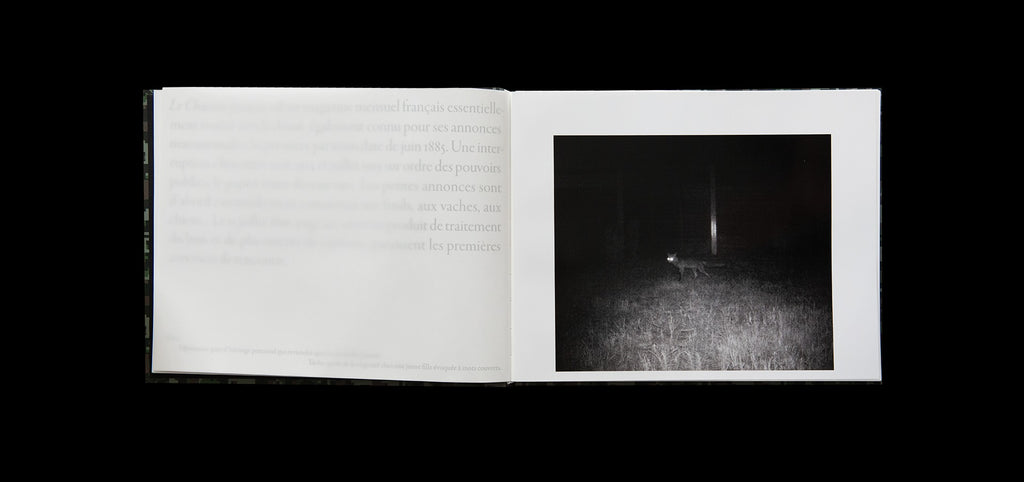 Sophie Calle - À l'affût
