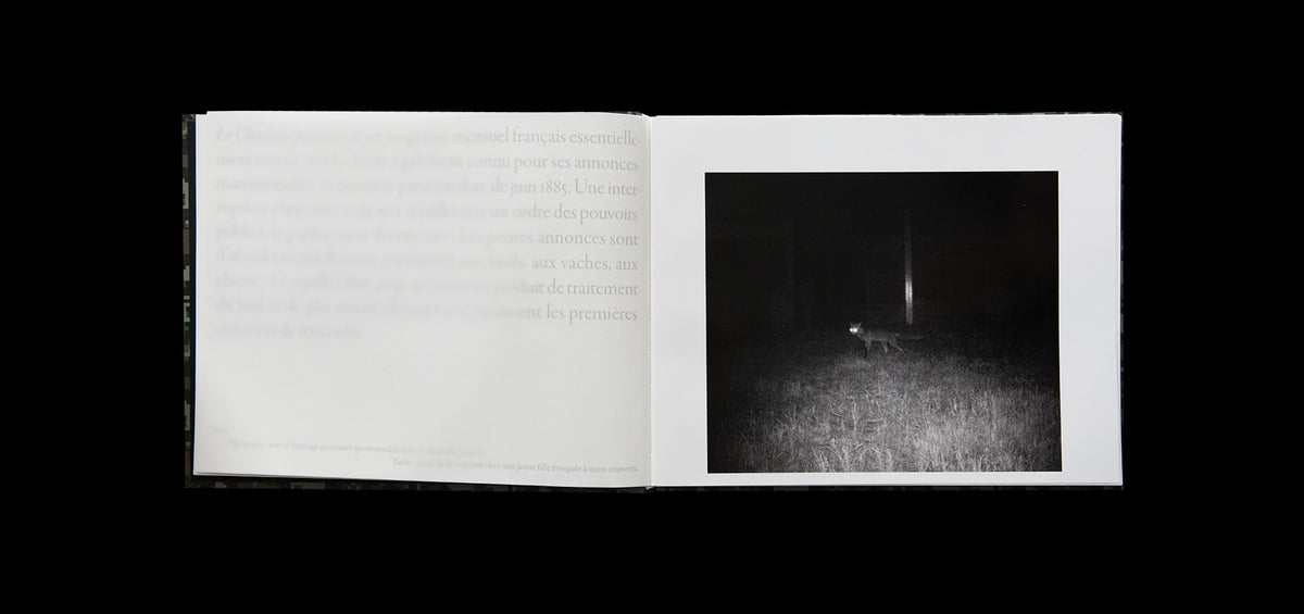 Sophie Calle - À l'affût