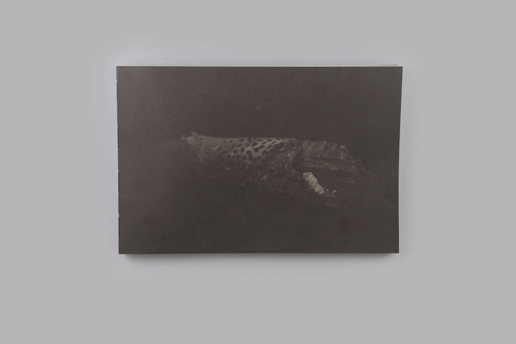 Ari Marcopoulos - Parallax (Market Place / No Home)