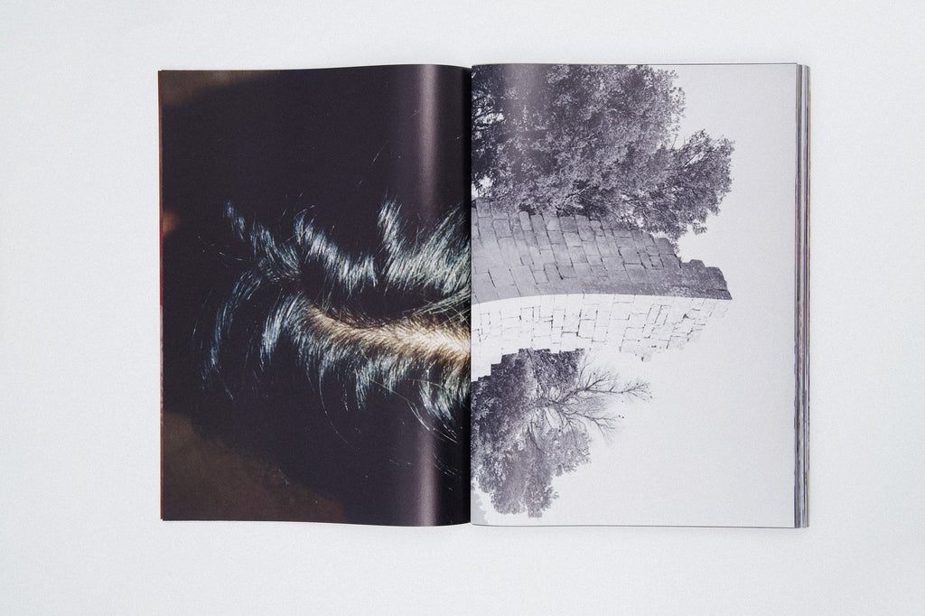 David Luraschi - The O File
