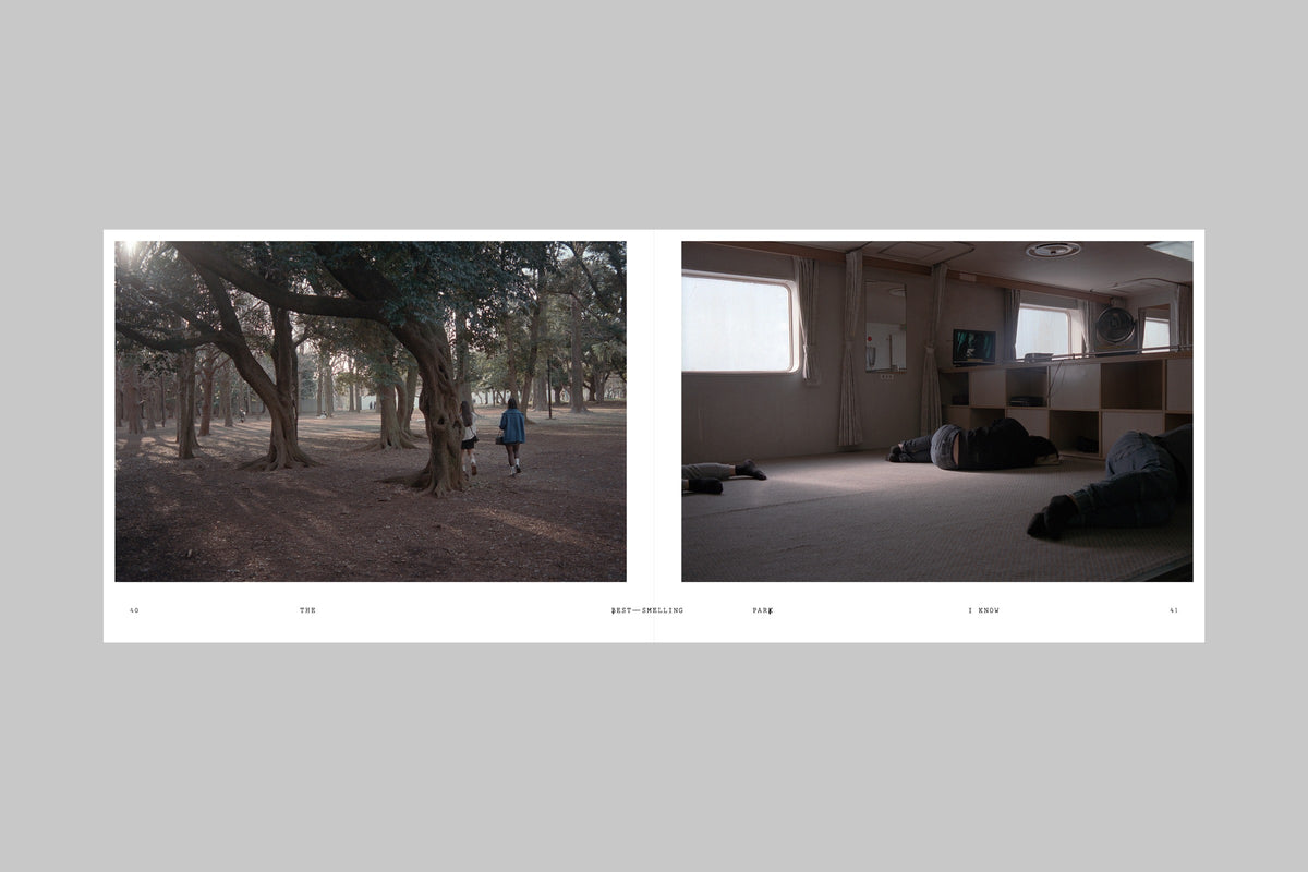 Yana Van Ginneken - A Place to Disappear