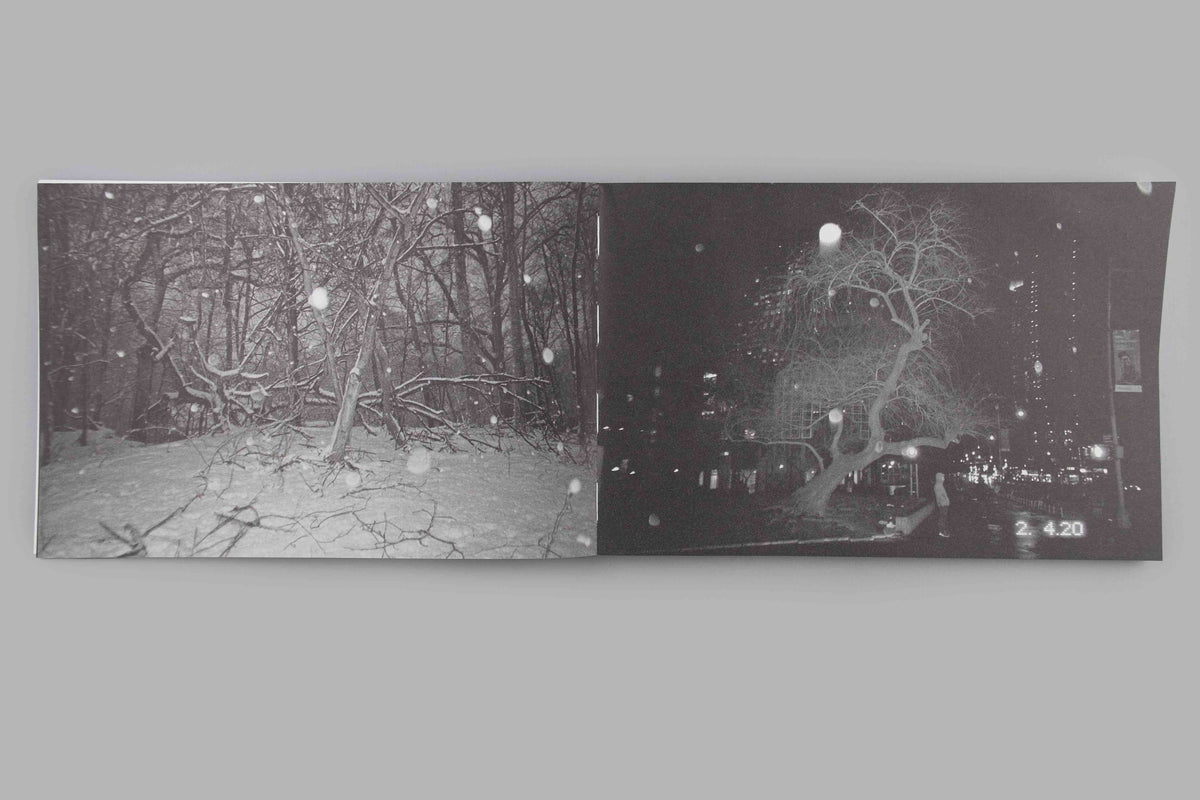 Ari Marcopoulos - Parallax (Market Place / No Home)