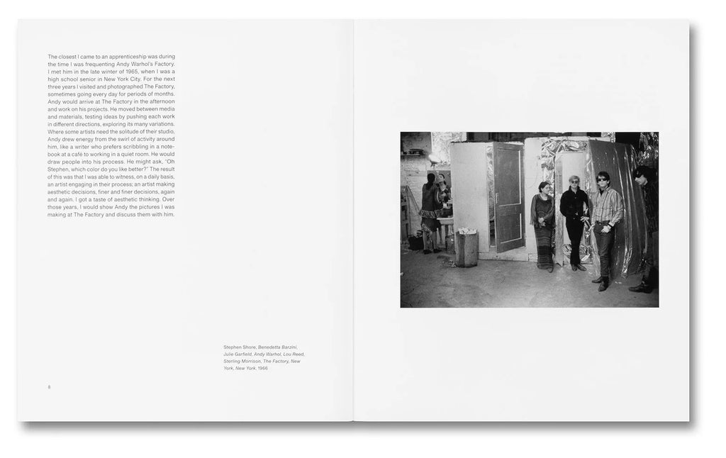 Stephen Shore - The Mental Image