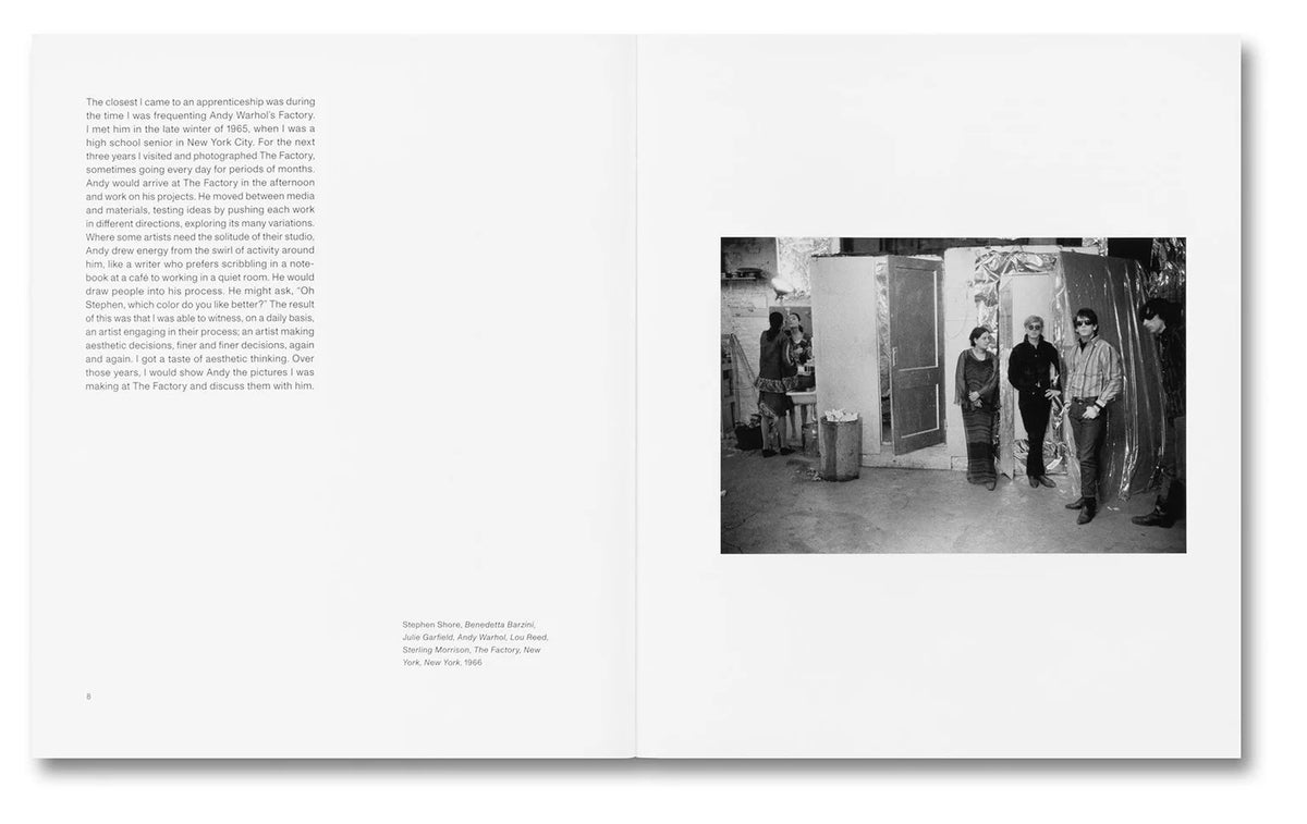 Stephen Shore - The Mental Image