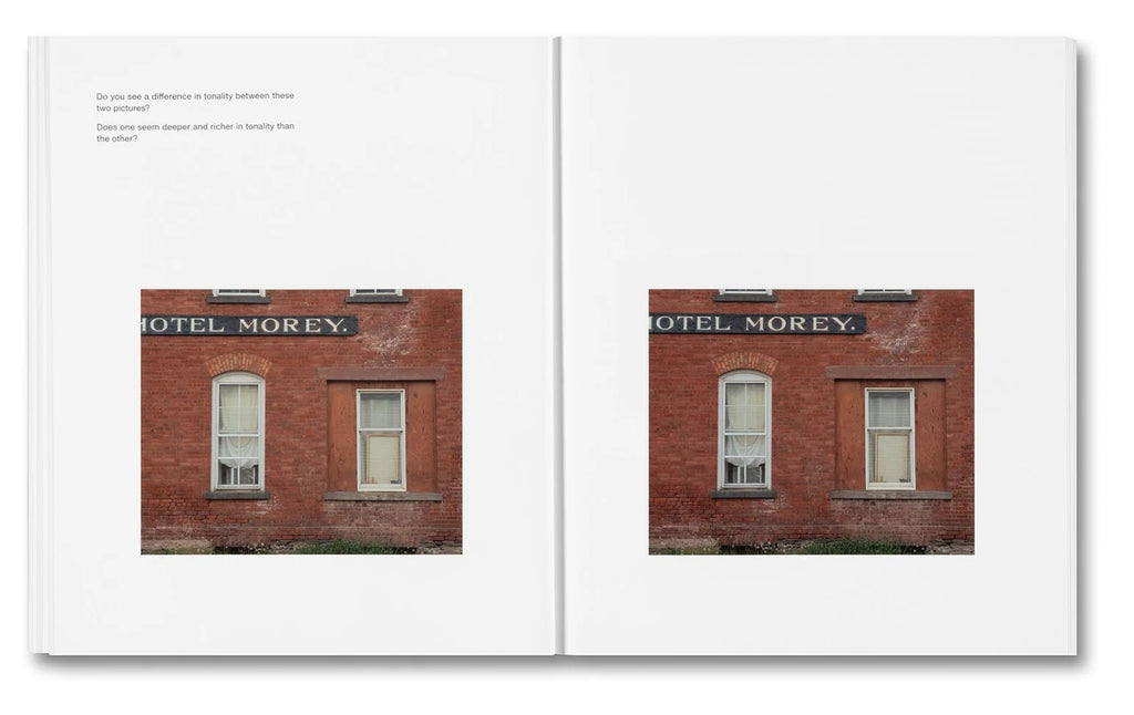 Stephen Shore - The Mental Image