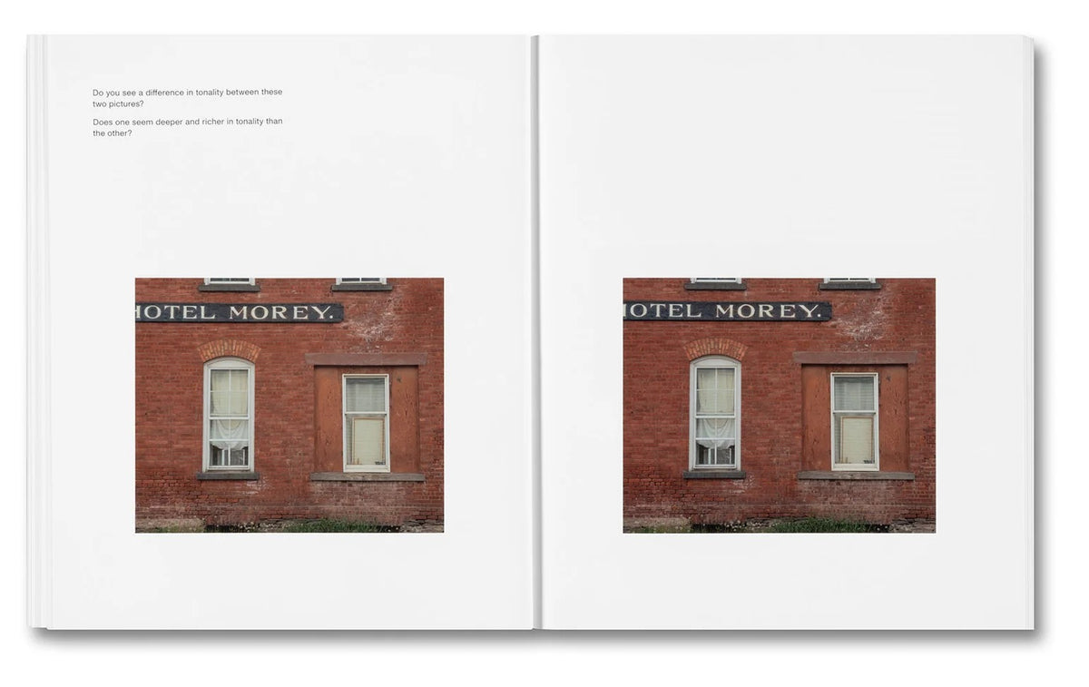 Stephen Shore - The Mental Image