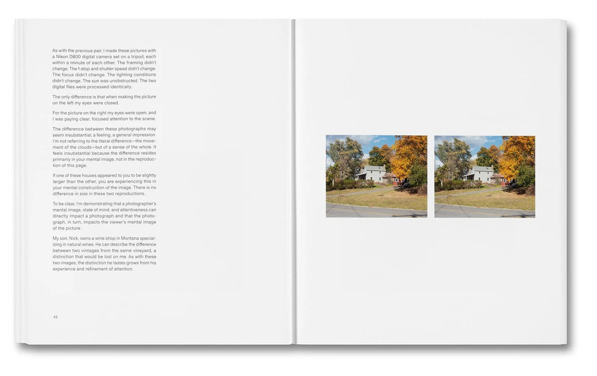 Stephen Shore - The Mental Image