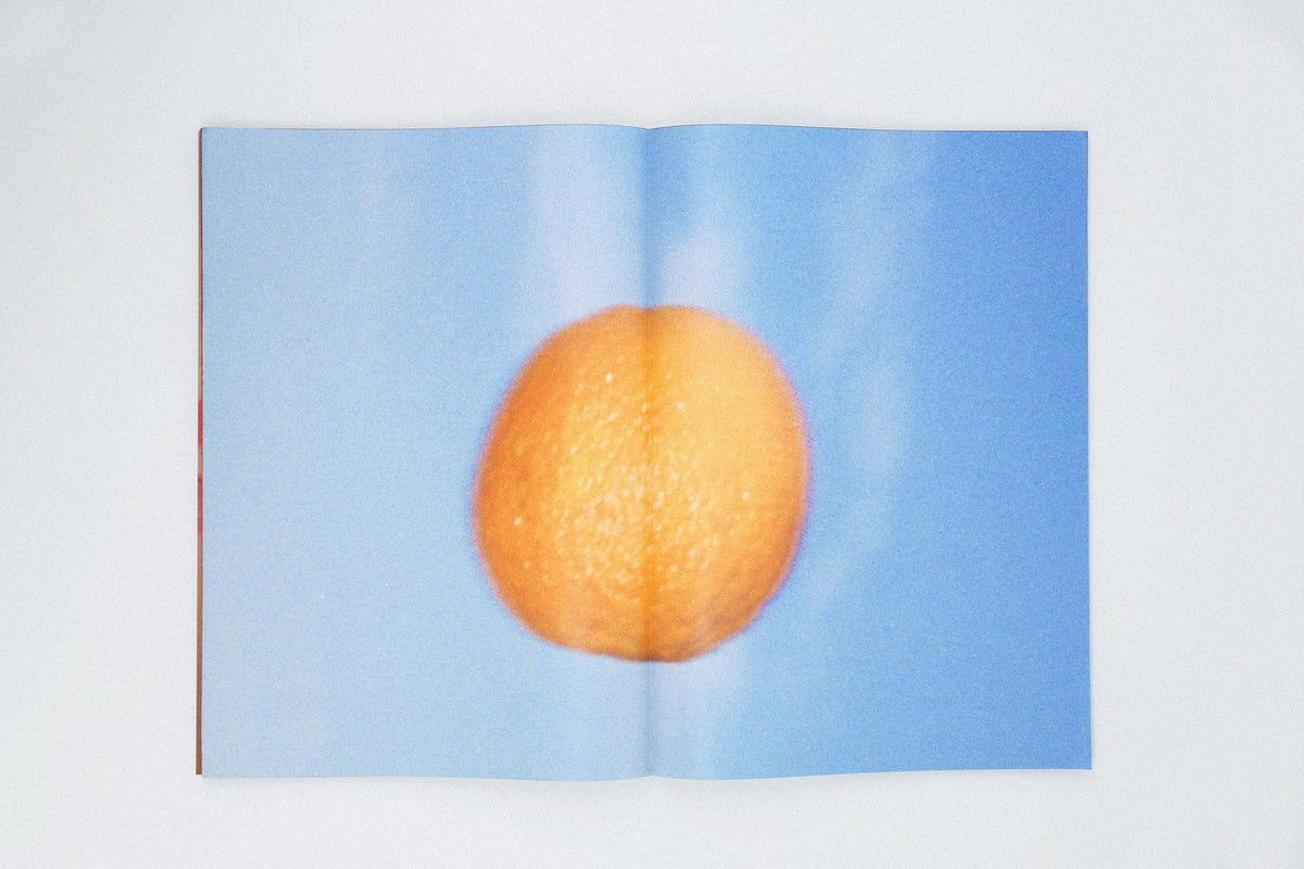 David Luraschi - The O File