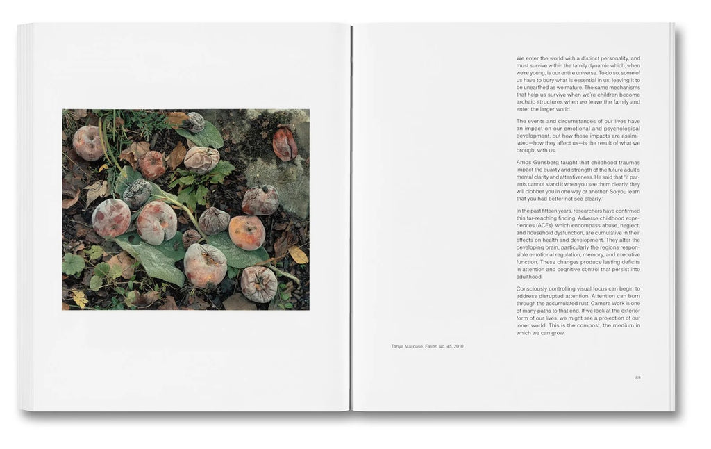 Stephen Shore - The Mental Image