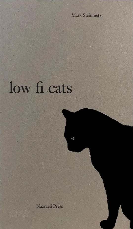 Mark Steinmetz - Low-Fi Cats