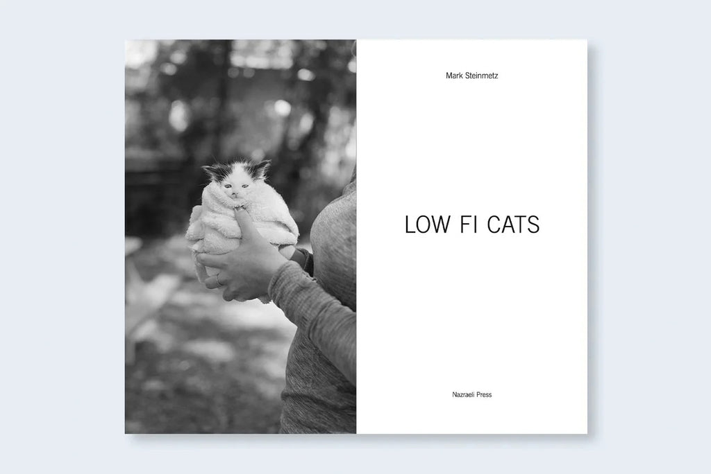 Mark Steinmetz - Low-Fi Cats