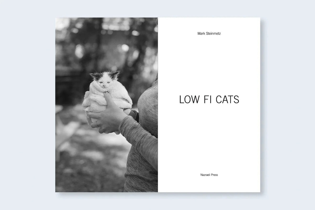 Mark Steinmetz - Low-Fi Cats