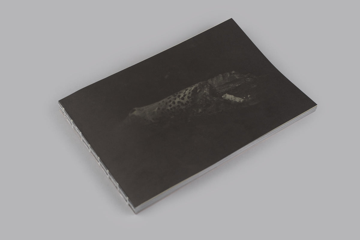 Ari Marcopoulos - Parallax (Market Place / No Home)