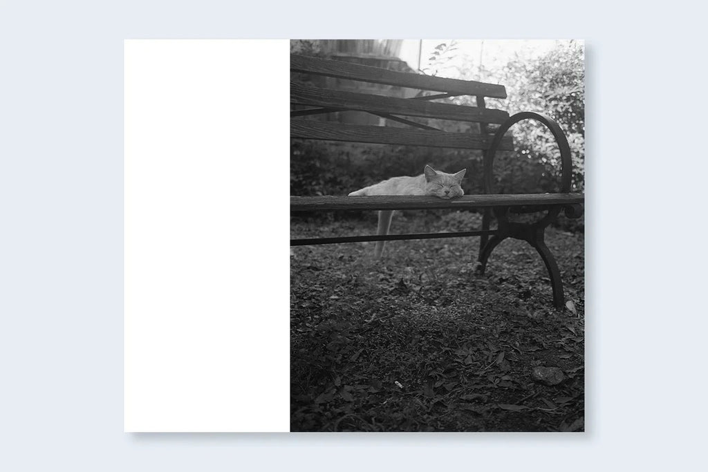 Mark Steinmetz - Low-Fi Cats
