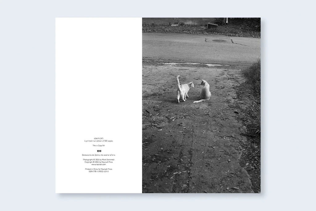 Mark Steinmetz - Low-Fi Cats