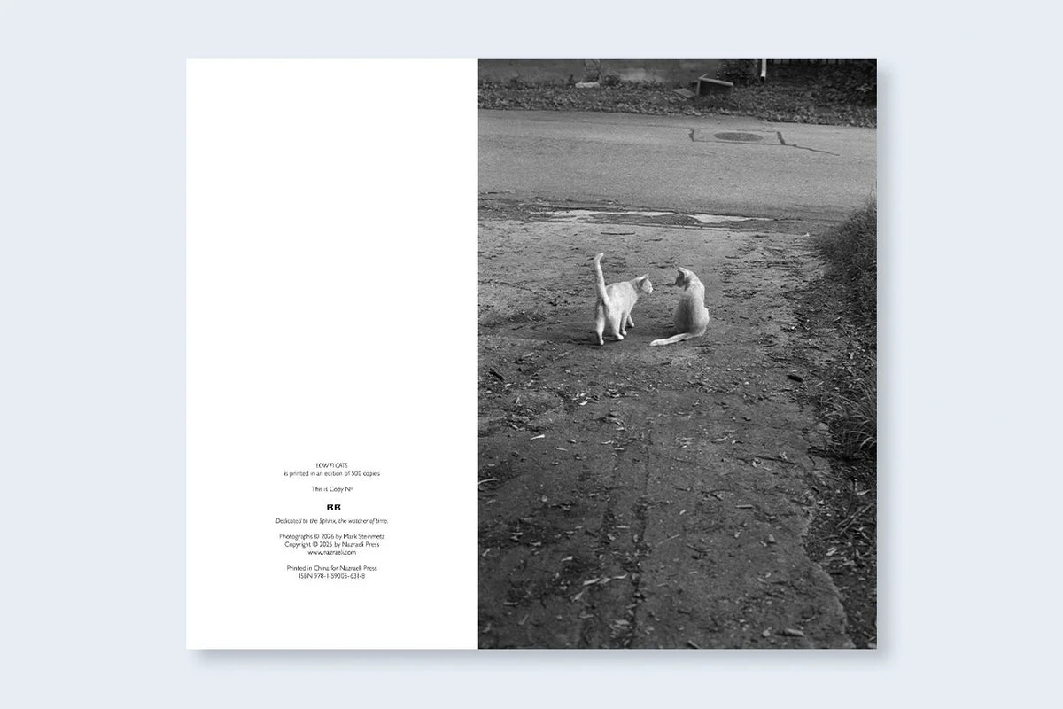 Mark Steinmetz - Low-Fi Cats