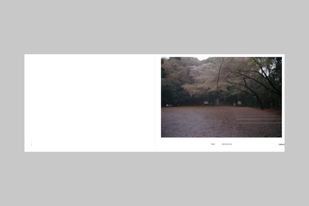 Yana Van Ginneken - A Place to Disappear