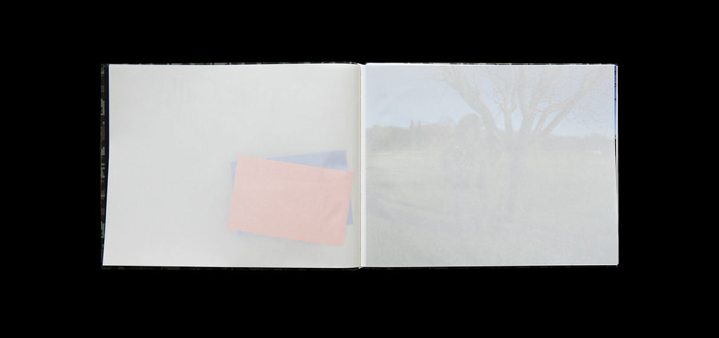 Sophie Calle - À l'affût