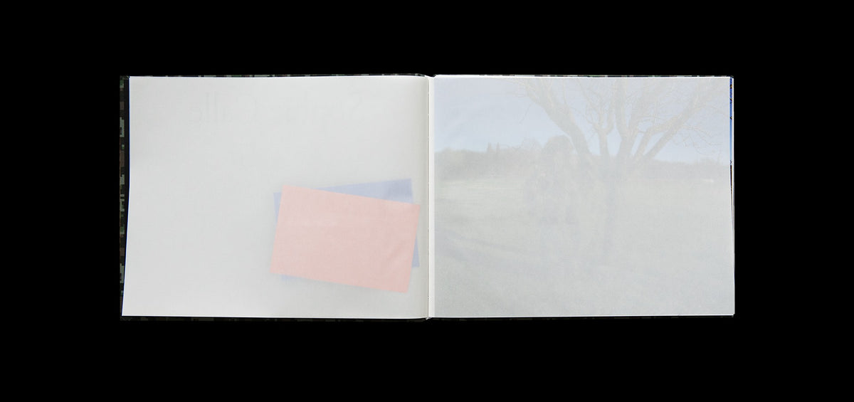 Sophie Calle - À l'affût