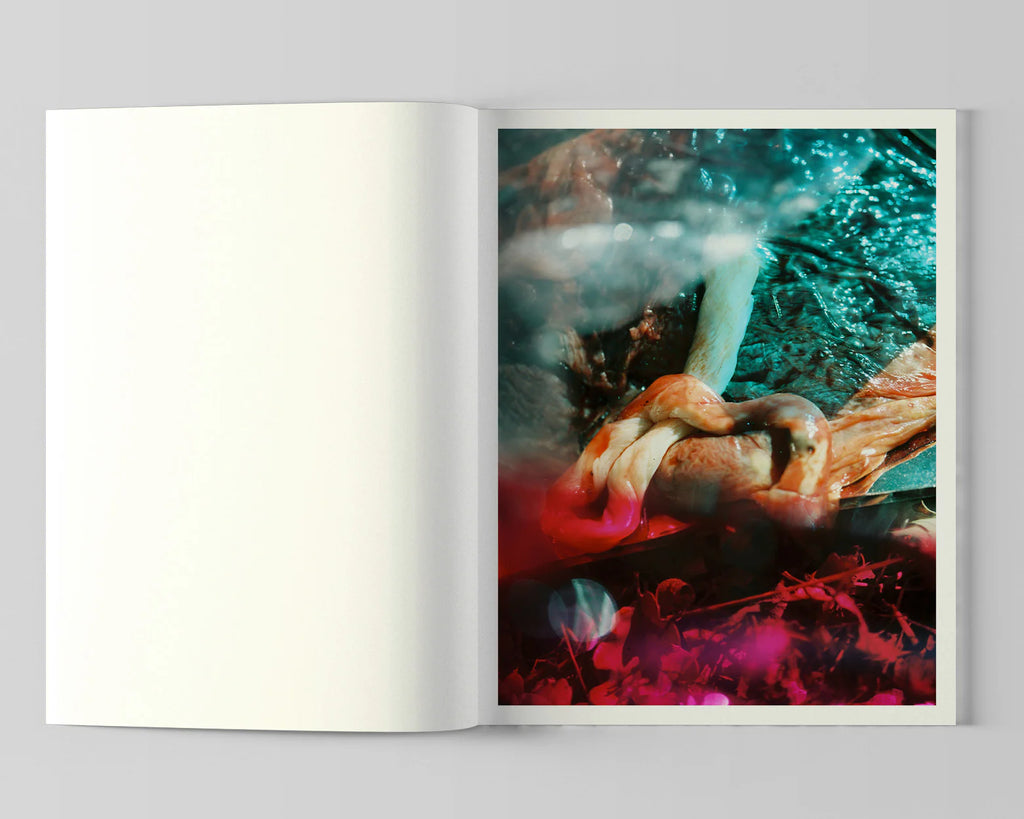 Lucile Boiron - Bouche