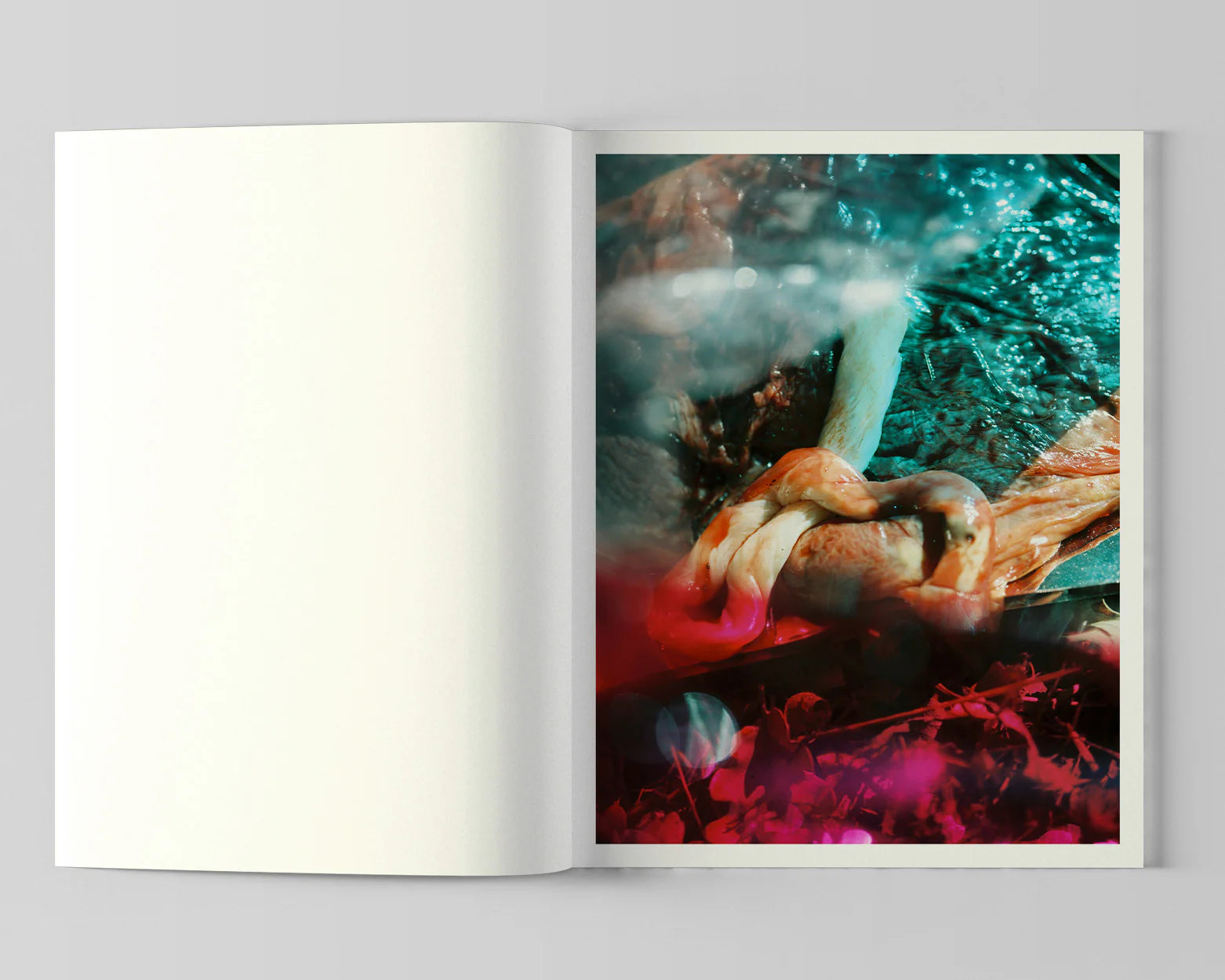 Lucile Boiron - Bouche