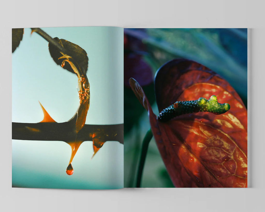 Lucile Boiron - Bouche