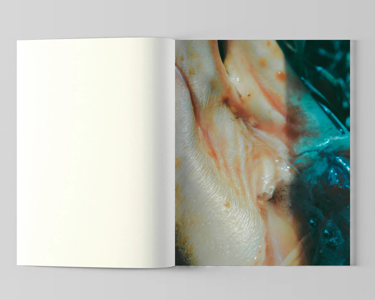 Lucile Boiron - Bouche – Yvon Lambert Paris
