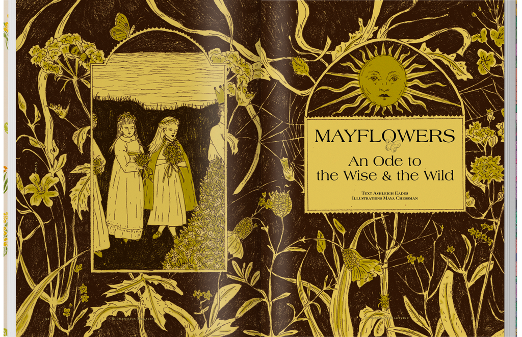 Blumenhaus - Issue 6