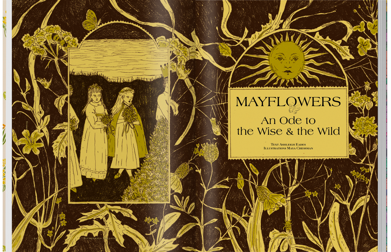 Blumenhaus - Issue 6