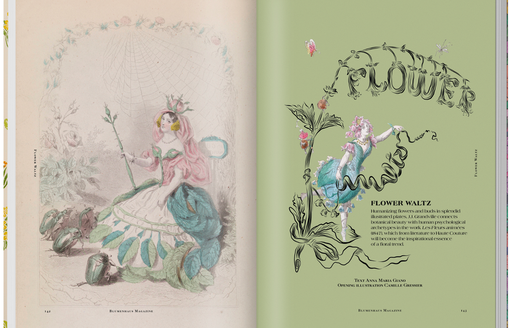 Blumenhaus - Issue 6