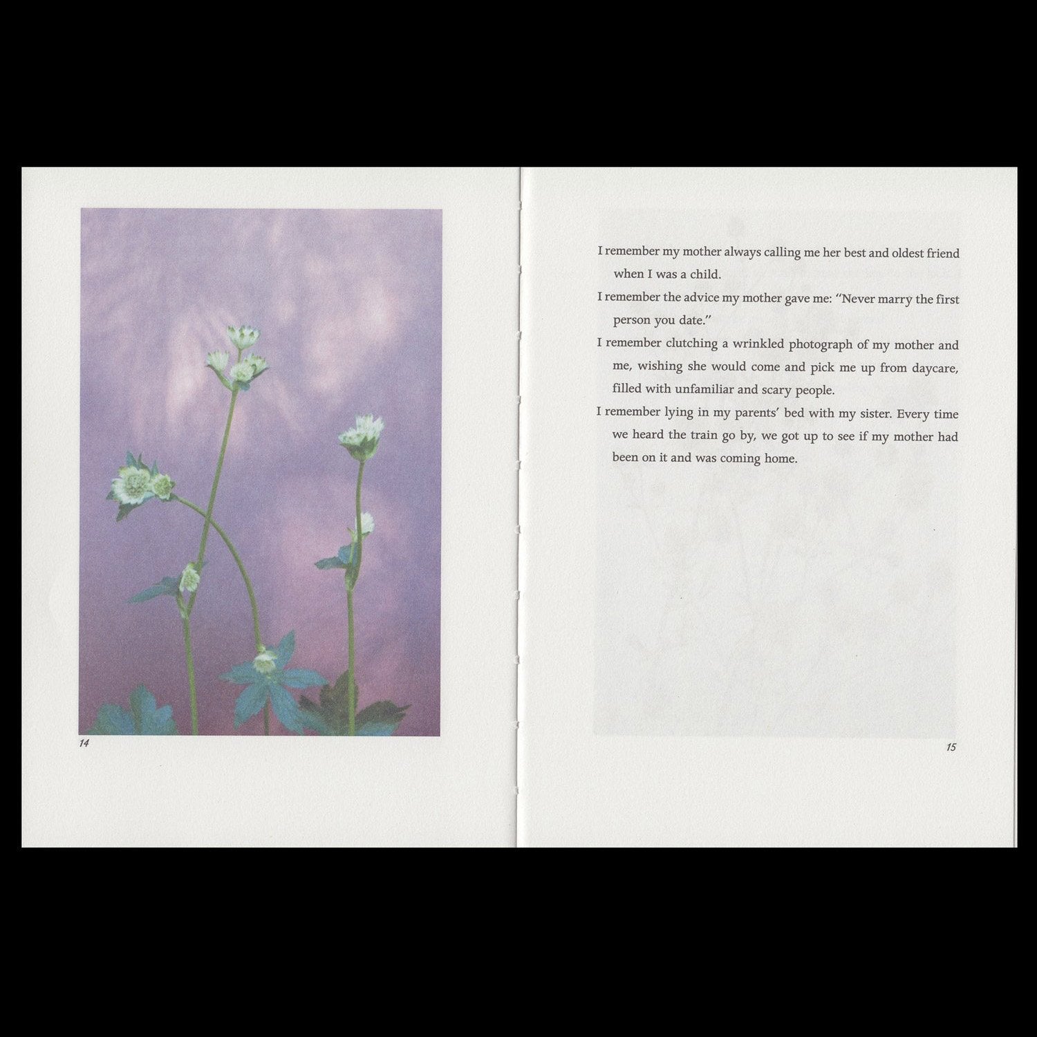 Hilla Kurki - Almost All the Flowers in My Mother’s Garden