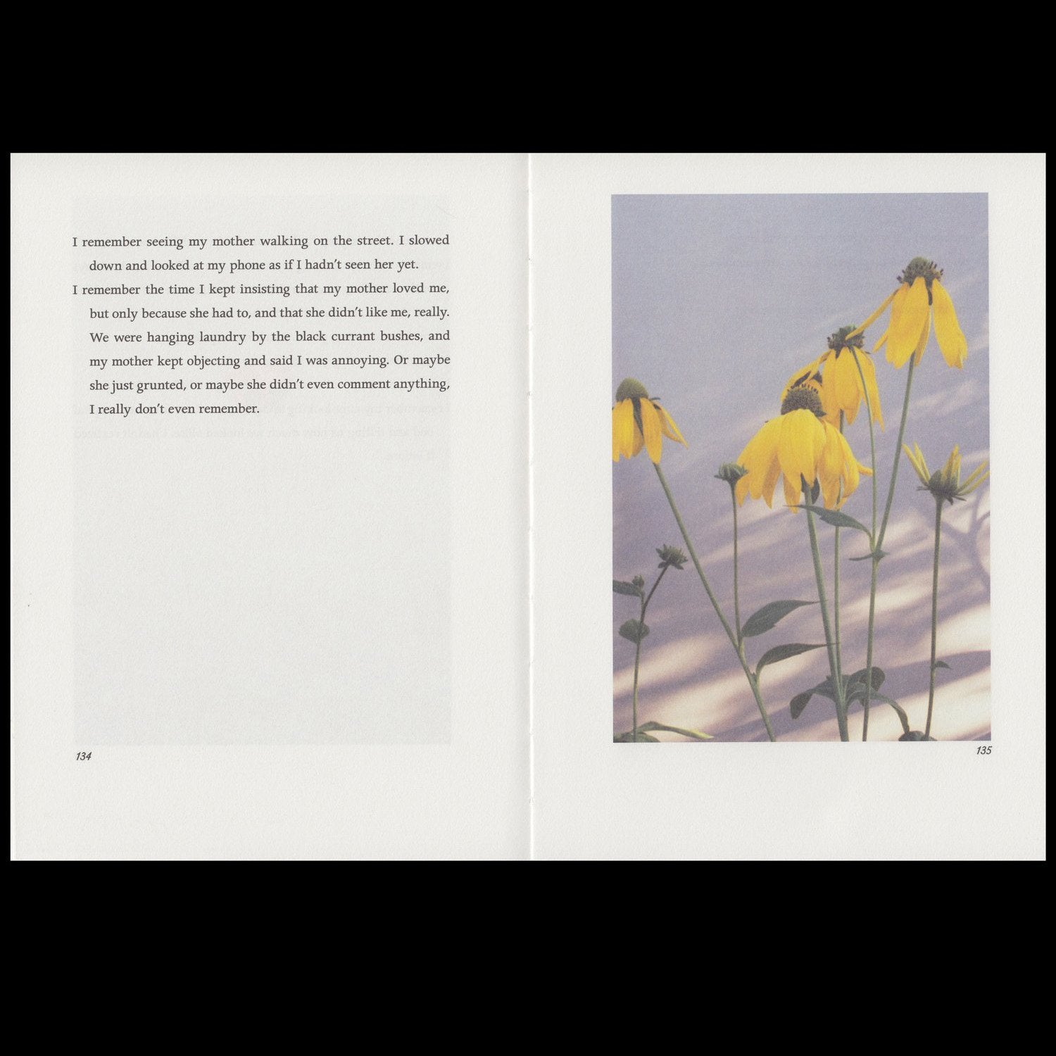 Hilla Kurki - Almost All the Flowers in My Mother’s Garden