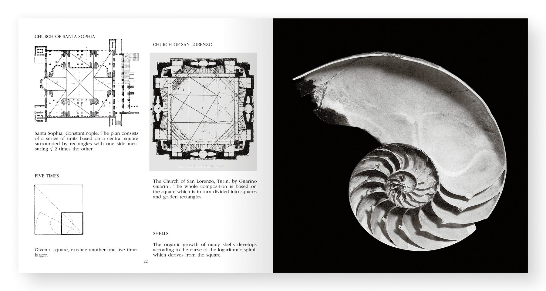 Bruno Munari - Square Circle Triangle