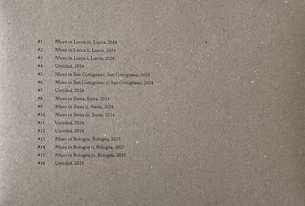 Jun Iwasaki -  I MURI IN ITALIA