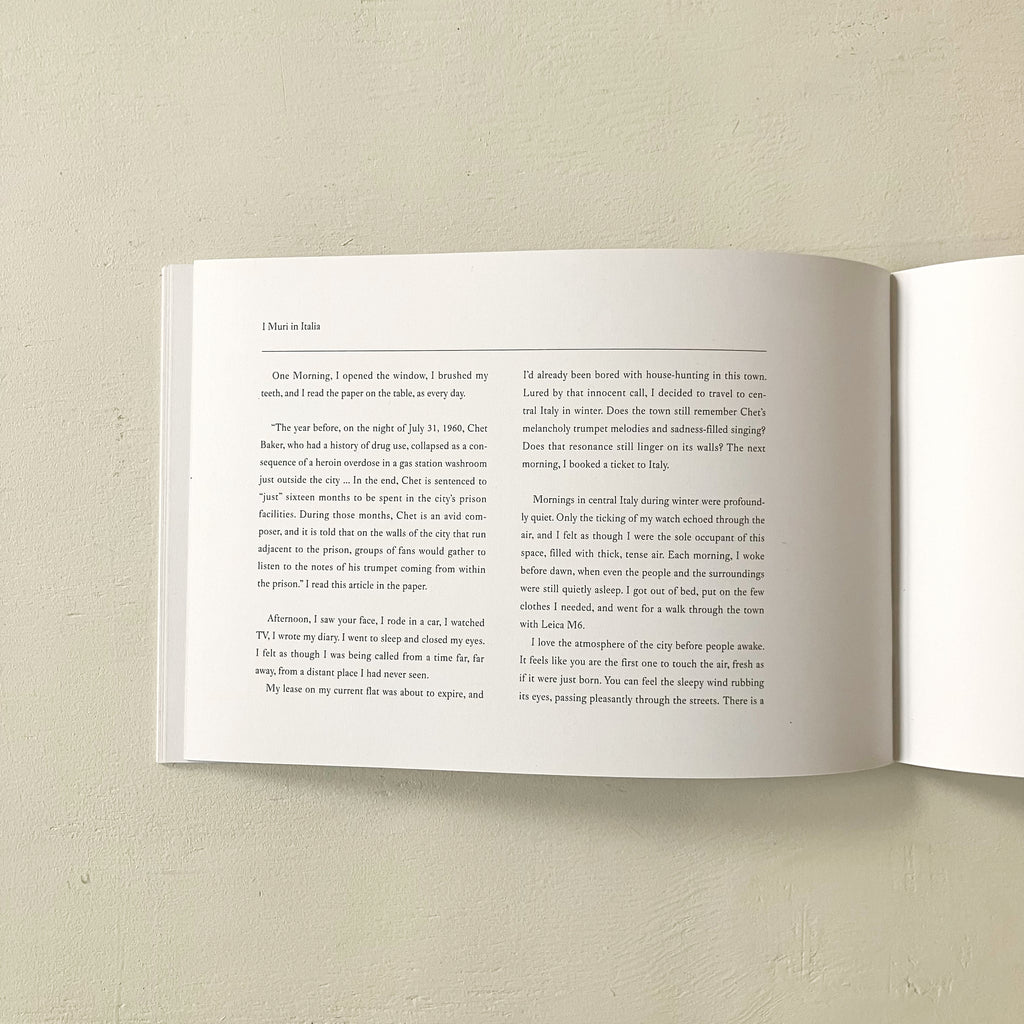 Jun Iwasaki -  I MURI IN ITALIA