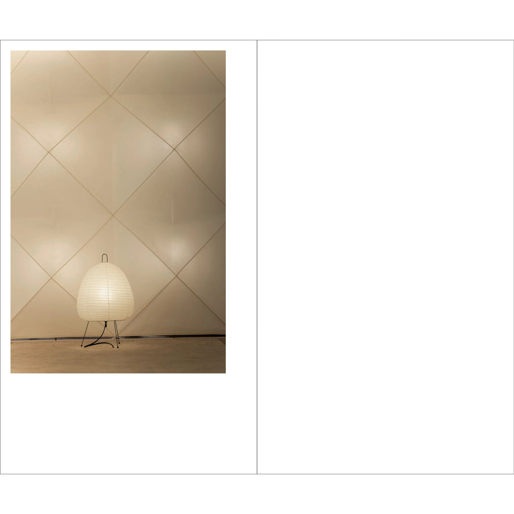 Tamami Iinuma - Face at a Distance - The Noguchi Museum, Long Island, NYC