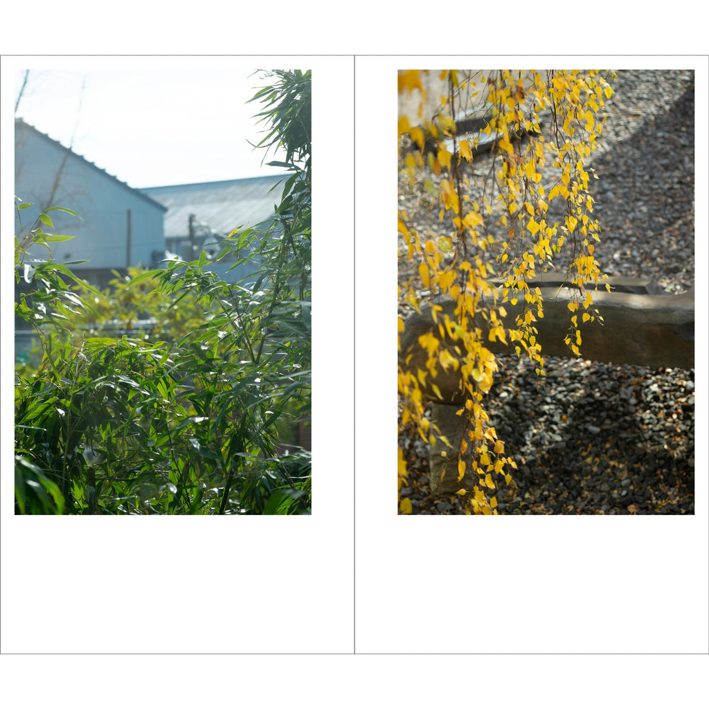 Tamami Iinuma - Face at a Distance - The Noguchi Museum, Long Island, NYC