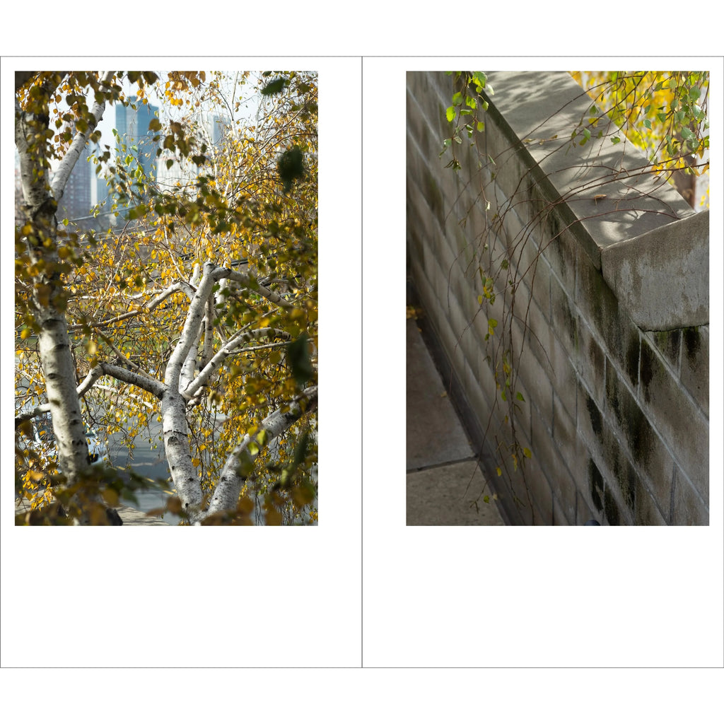 Tamami Iinuma - Face at a Distance - The Noguchi Museum, Long Island, NYC