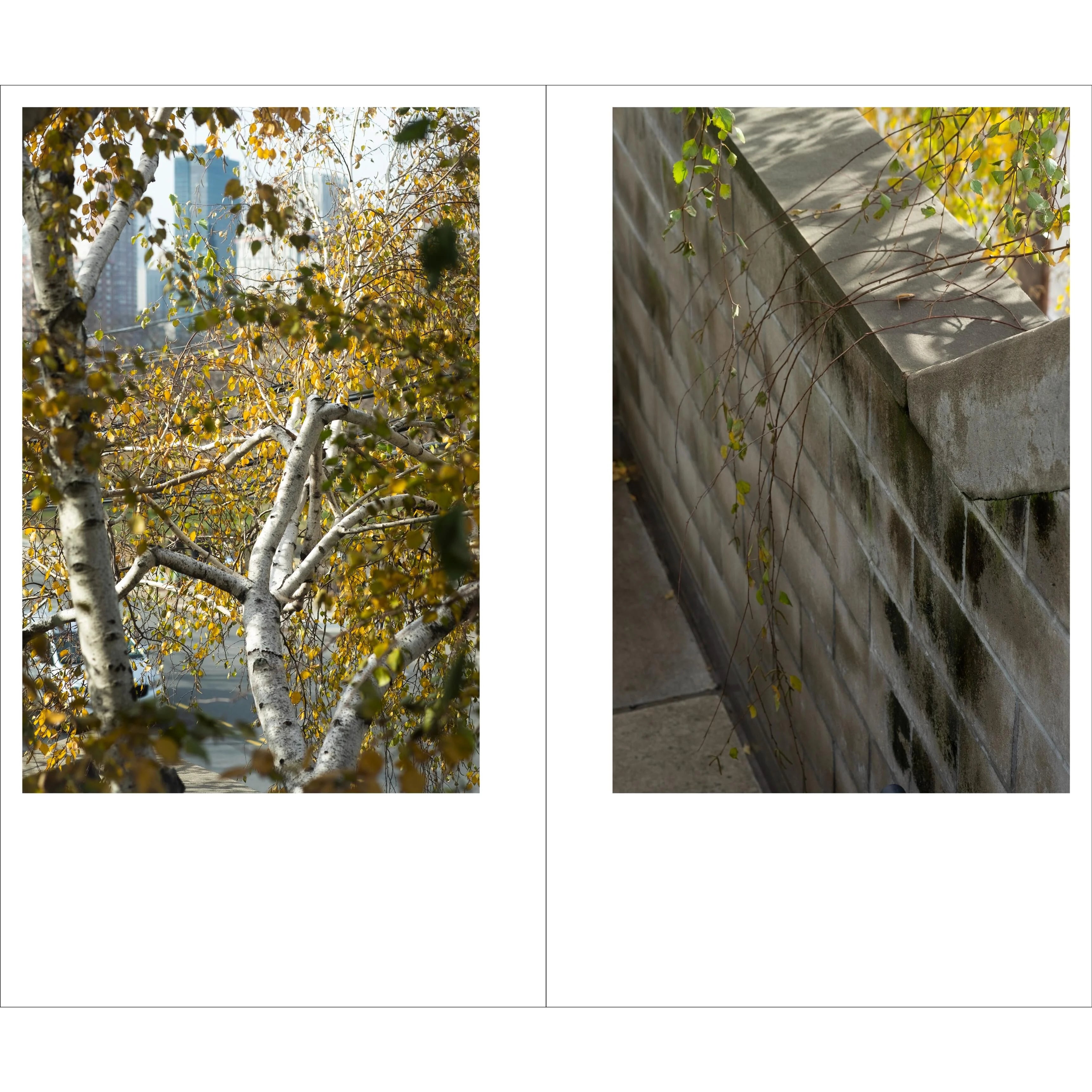 Tamami Iinuma - Face at a Distance - The Noguchi Museum, Long Island, NYC