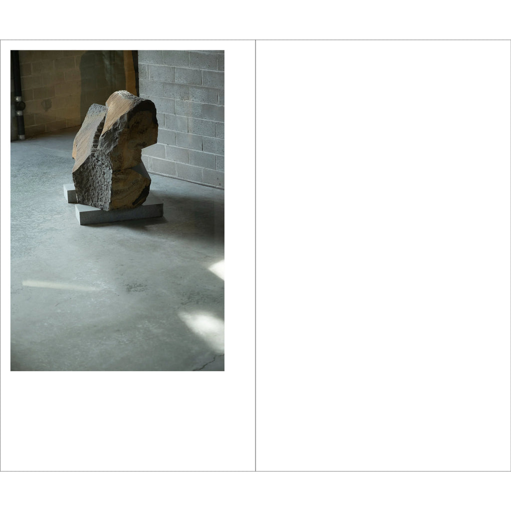 Tamami Iinuma - Face at a Distance - The Noguchi Museum, Long Island, NYC