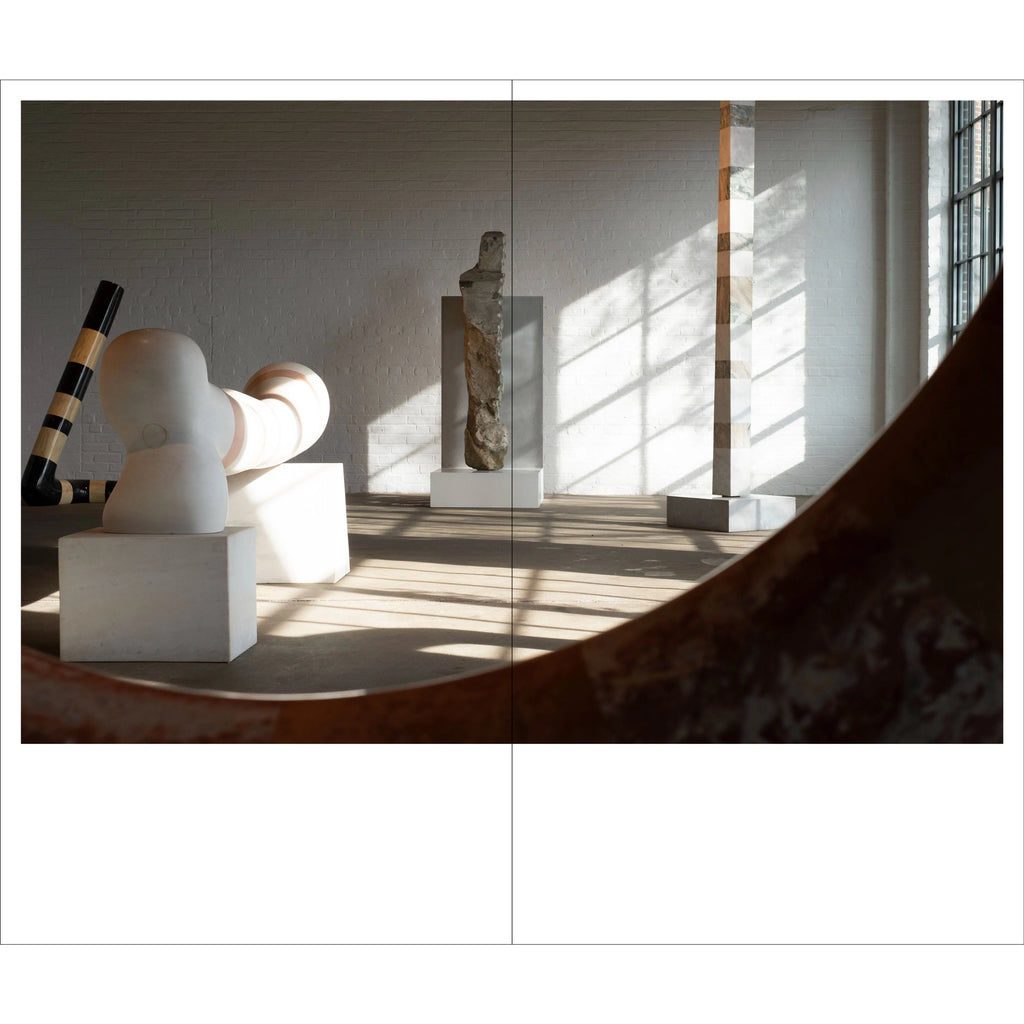 Tamami Iinuma - Face at a Distance - The Noguchi Museum, Long Island, NYC