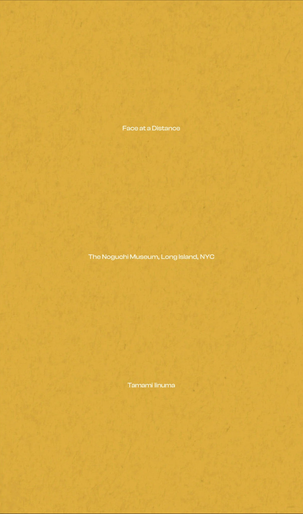 Tamami Iinuma - Face at a Distance - The Noguchi Museum, Long Island, NYC