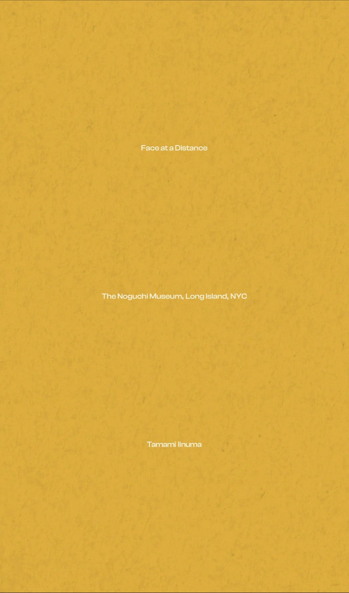 Tamami Iinuma - Face at a Distance - The Noguchi Museum, Long Island, NYC